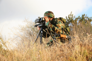 תמונה: יח"צ אלביט