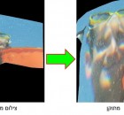בתמונות: פרופסור שכנר ומרינה אלתרמן מבצעים ניסוי בים ותוצאות הניסוי לפני ואחרי עיבוד התמונה. צילום: דוברות הטכניון